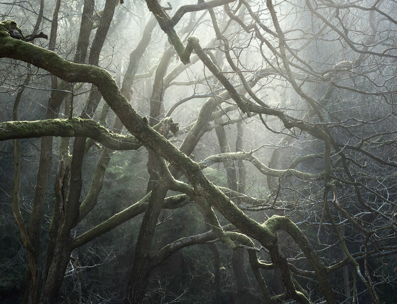 Padley's Web - Padley Gorge / Bolehill Quarry