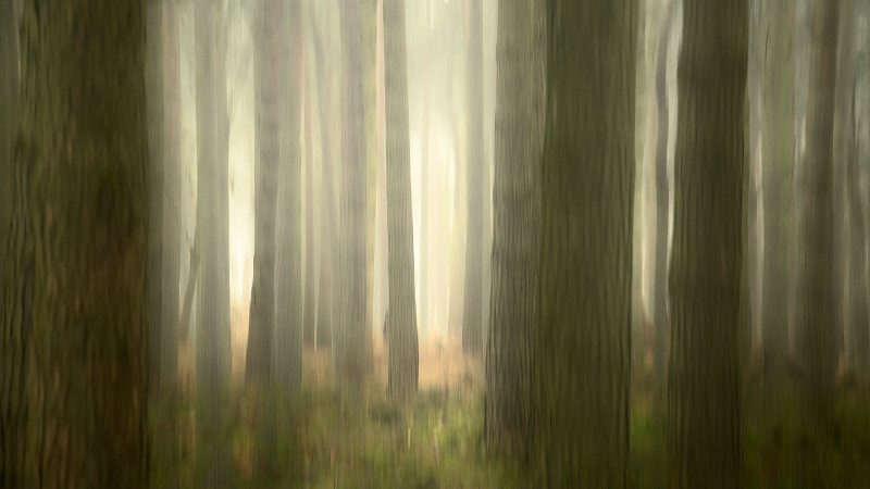  - Blurred Vision