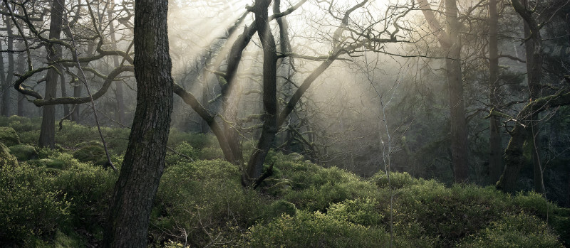 The Boundary Line - Padley Gorge / Bolehill Quarry