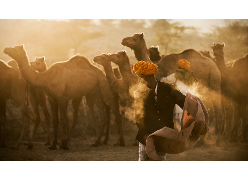 Desert Glow - Travel