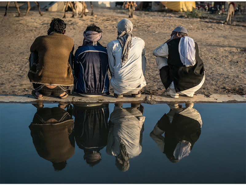 The watering hole - Travel