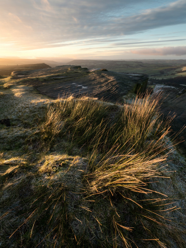 Life on the edge - Landscapes