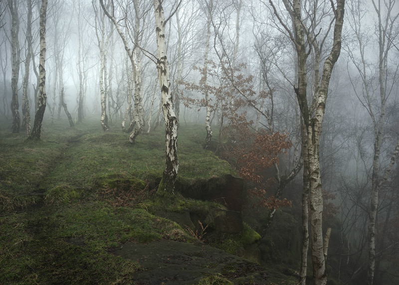 The Silver hour - Padley Gorge / Bolehill Quarry