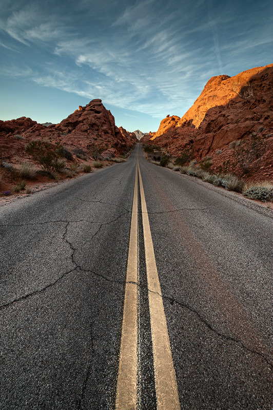 A long way from L.A. - Landscapes