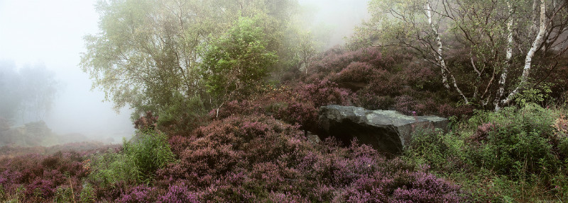  - Landscapes
