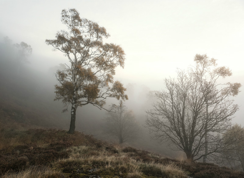 Holme - Landscapes