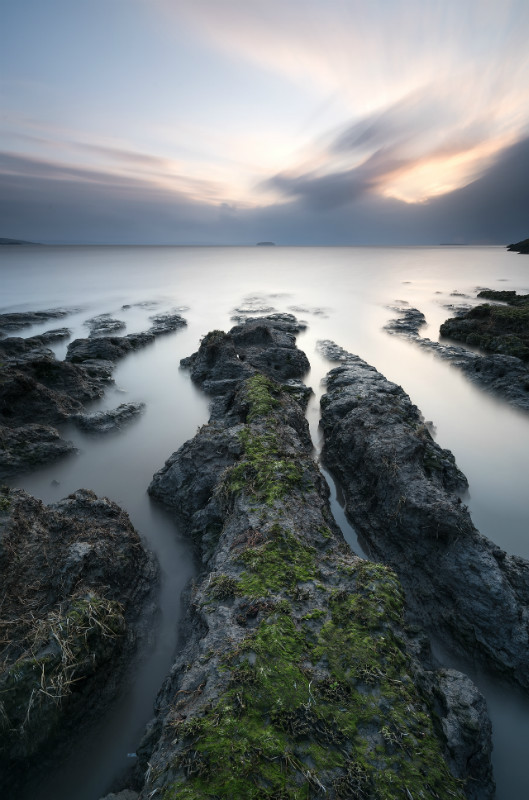The Island - Latest Images