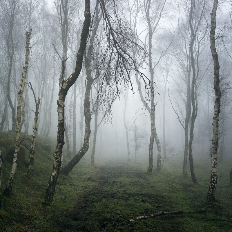 Millstone Way - Padley Gorge / Bolehill Quarry