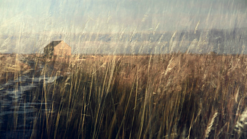 The Coal Barn - Latest Images