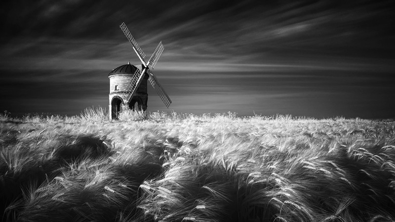 Still - Black & White