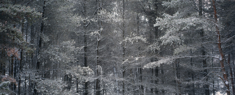 Highlights - Landscapes