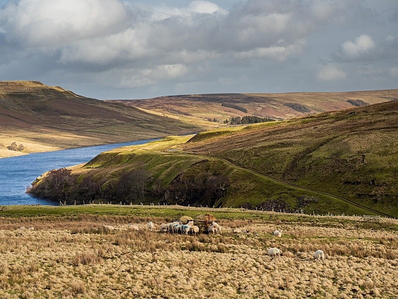 Scar House Reservoir - Assorted Other