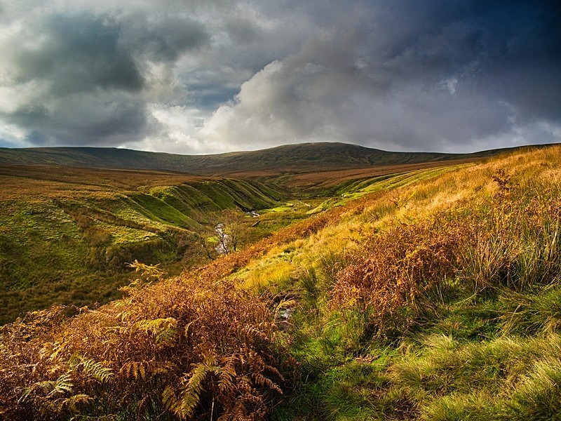 Little Whernside - Assorted Other