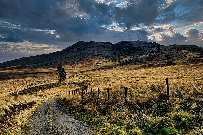 The Ochil Hills - Assorted Other