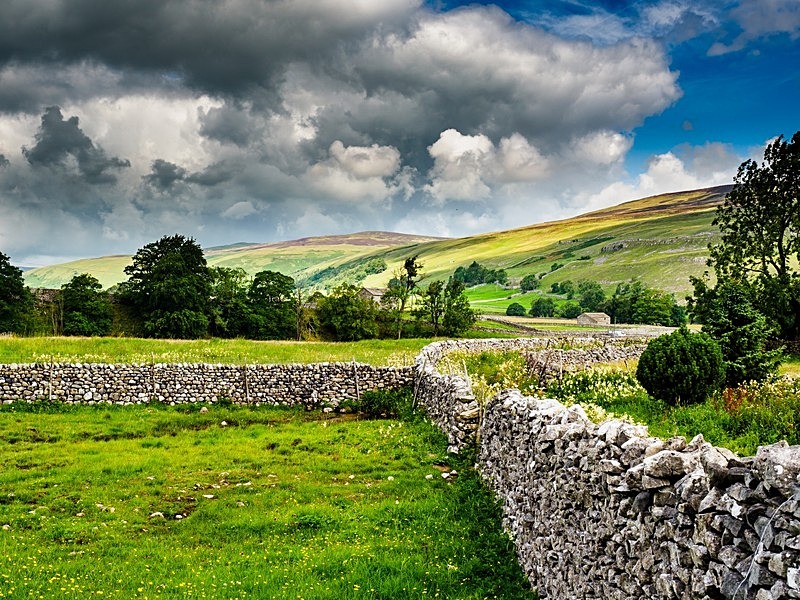 Arncliffe Meadows - Yorkshire Dales