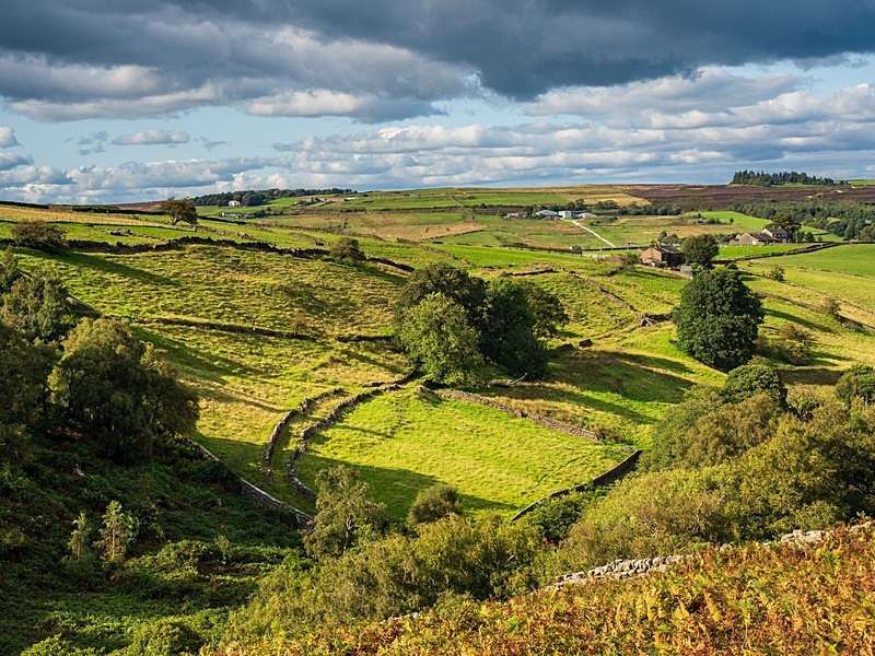 Haworth Moor - High Moorland