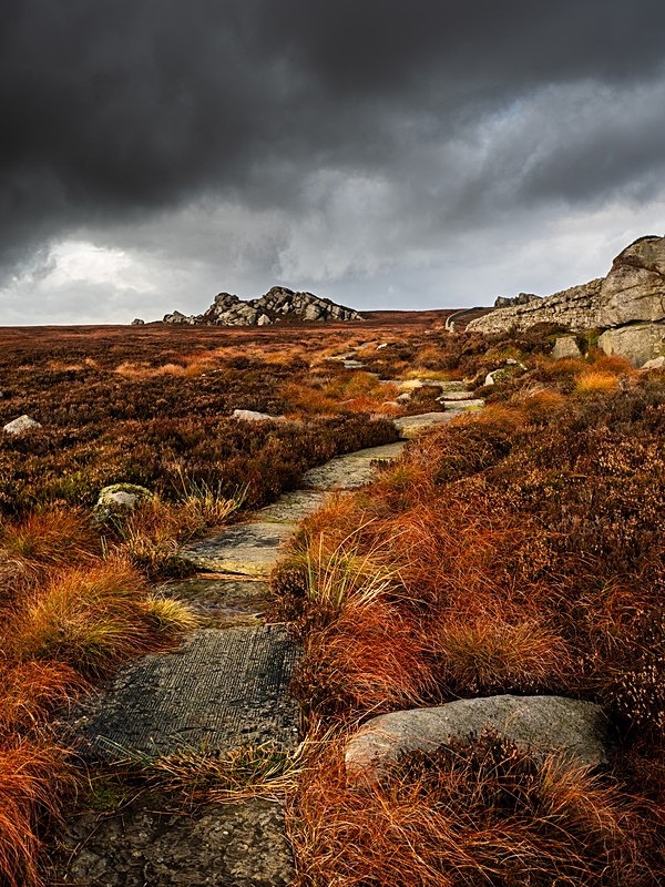 Barden Moor - High Moorland