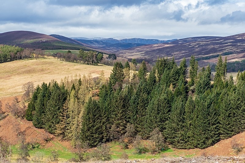  - The Cairngorms National Park