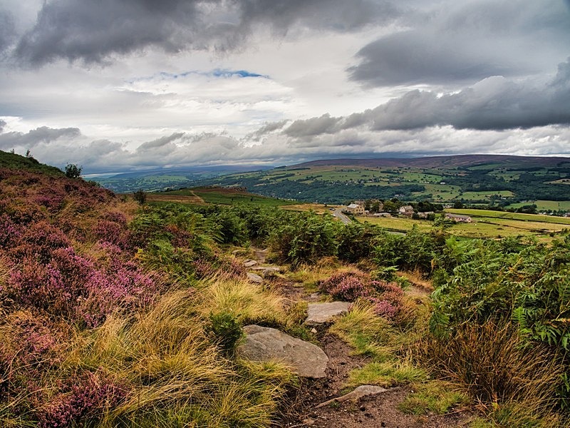 Ilkley Moor in Autumn - High Moorland