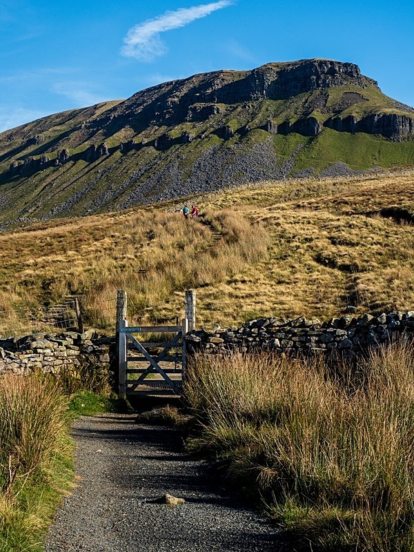 Pen-y-Ghent Mountain - Yorkshire Dales