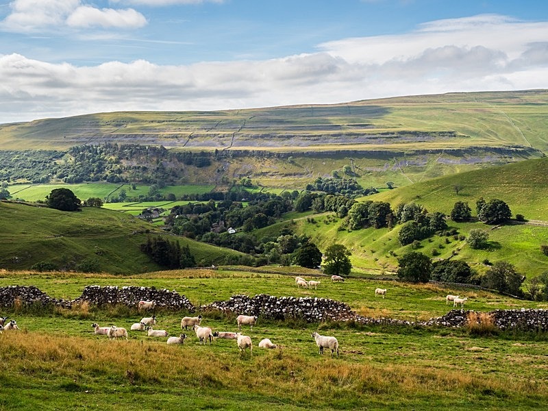 Great Whernside - Yorkshire Dales