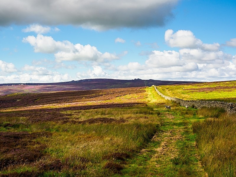 Barden Moor - High Moorland