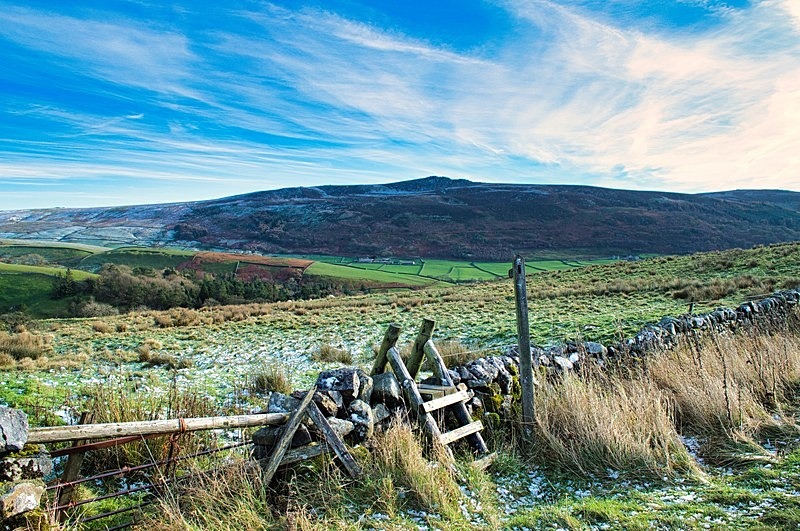 Simons Seat - High Moorland