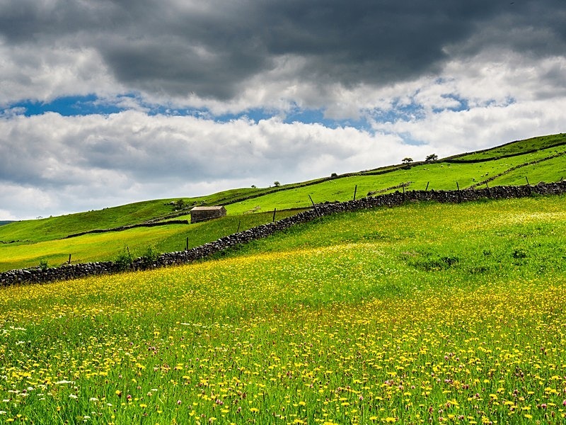 Hubberholme Meadows - Yorkshire Dales