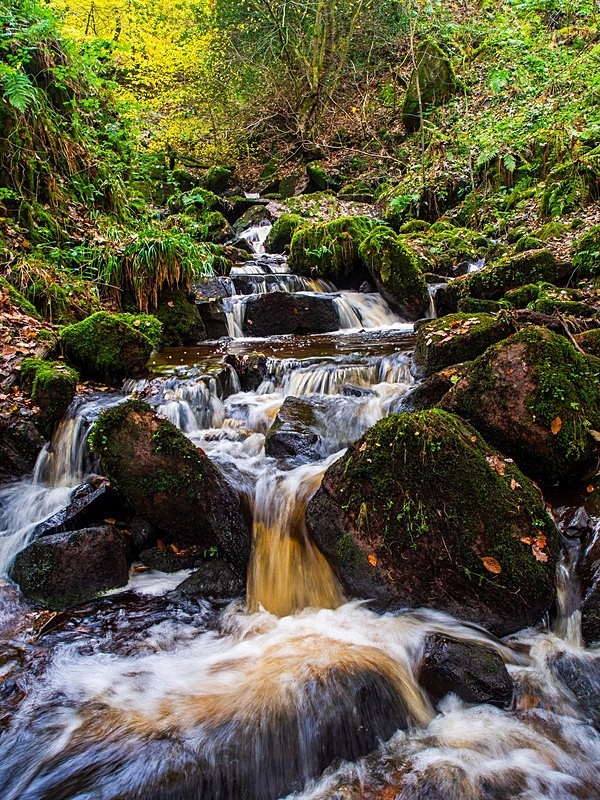 Hebers Ghyll Waterfall - Assorted Other