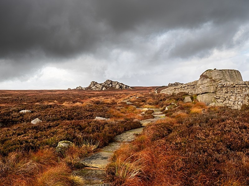 Barden Moor - High Moorland