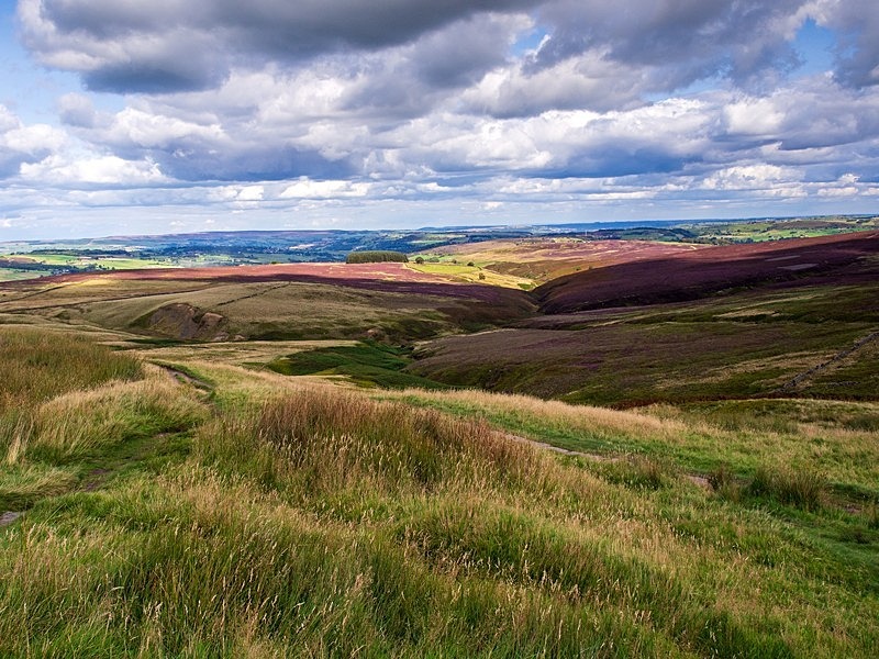 Haworth Moor - High Moorland