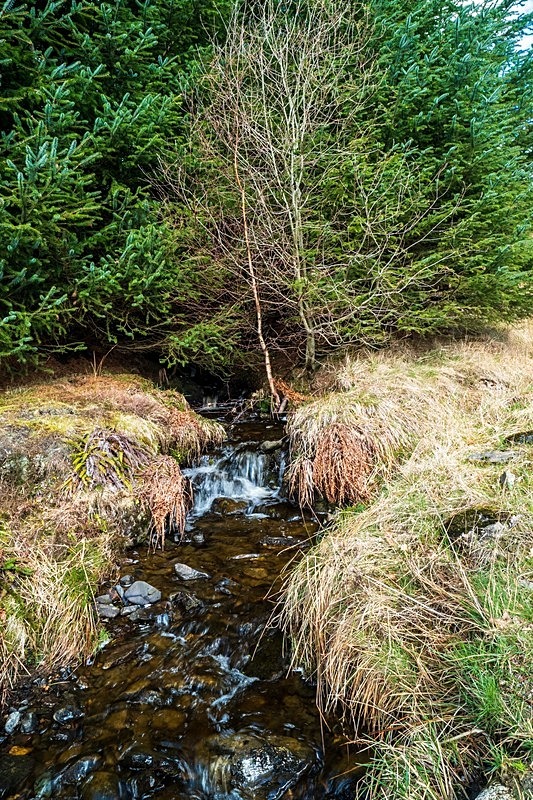  - The Cairngorms National Park