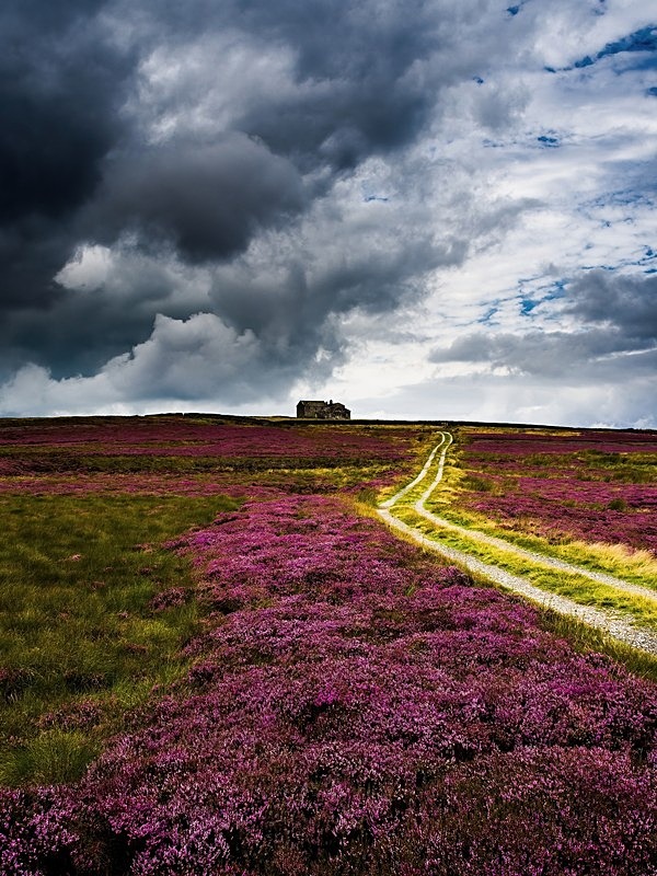 Rocking Hall in Autumn Heather - High Moorland