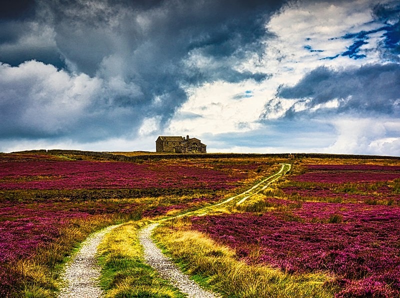 Rocking Hall - High Moorland