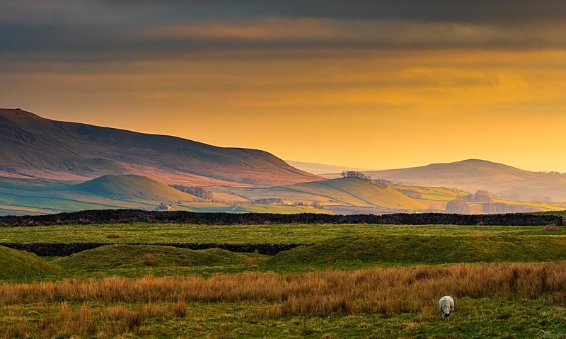 Crook Rise - Yorkshire Dales