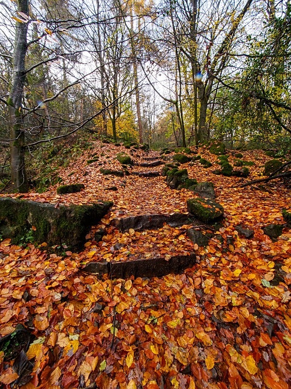 Hebers Ghyll - Woodland