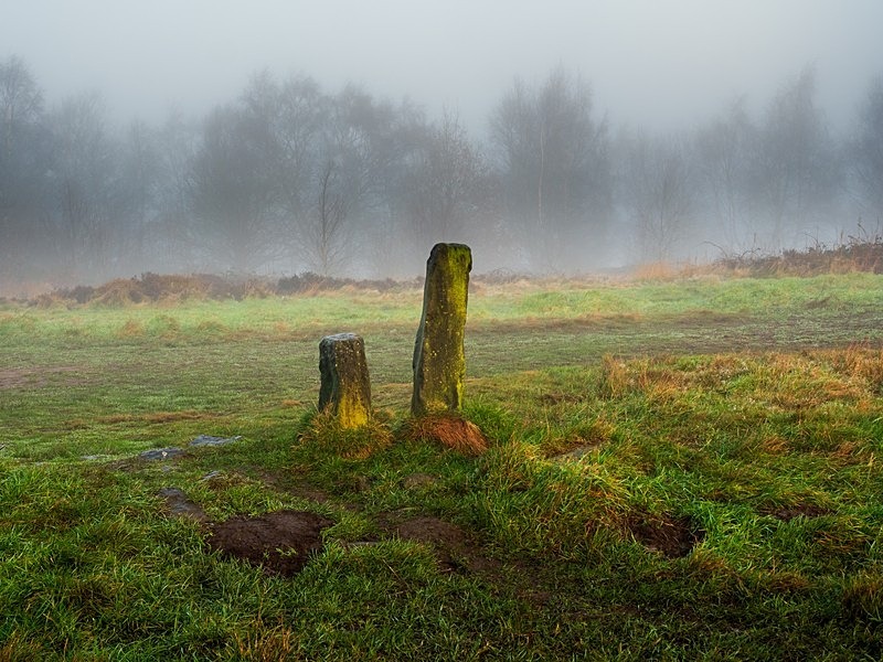 Otley Chevin - Woodland