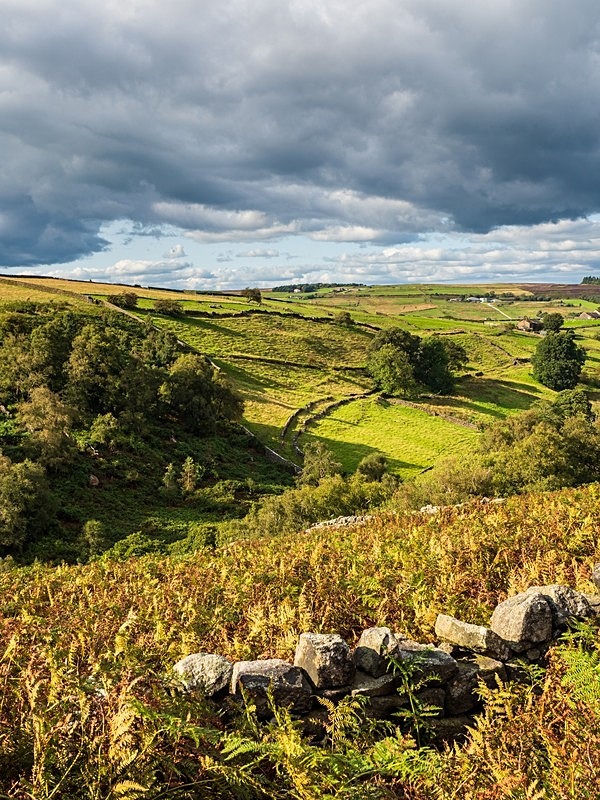 Haworth Moor - High Moorland