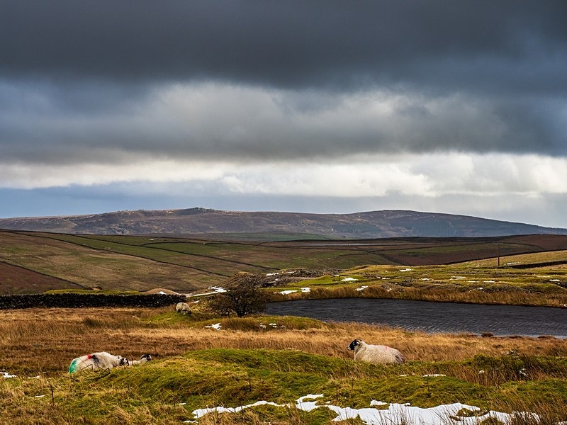 Yarnbury - Yorkshire Dales