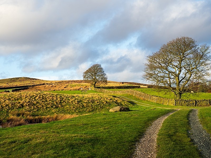 Burley Moor - High Moorland