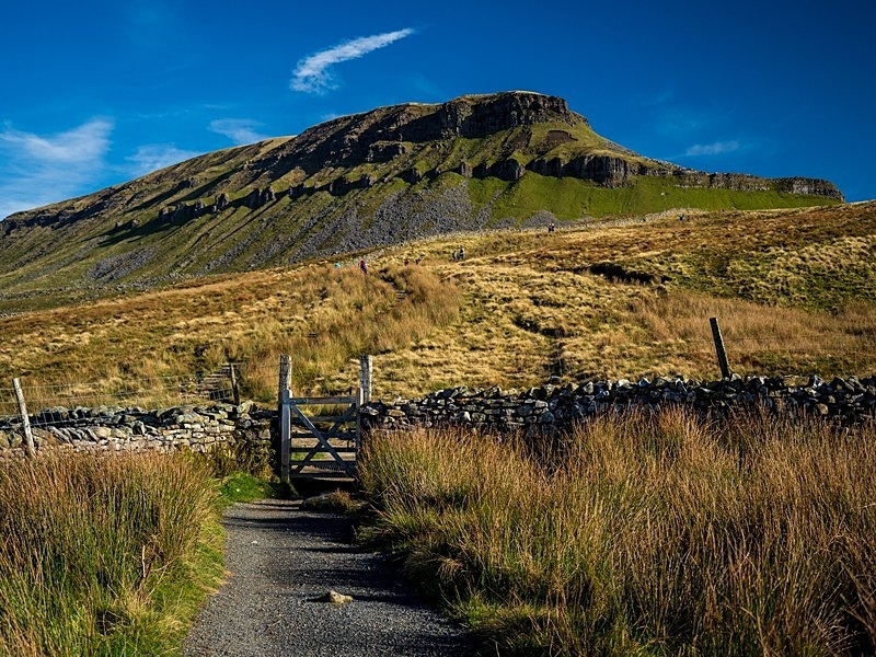 Pen-y-Ghent Mountain - Yorkshire Dales