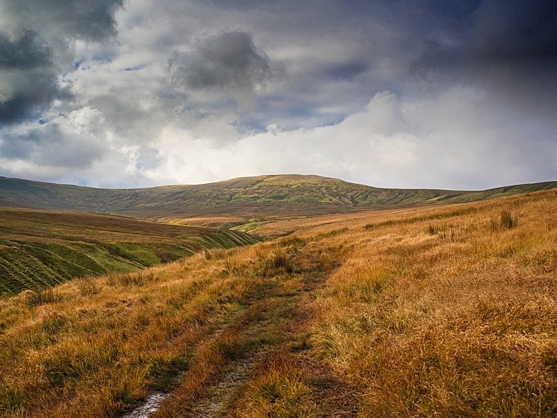 Little Whernside - Assorted Other