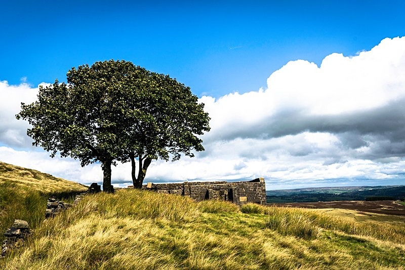 Top Withins - High Moorland