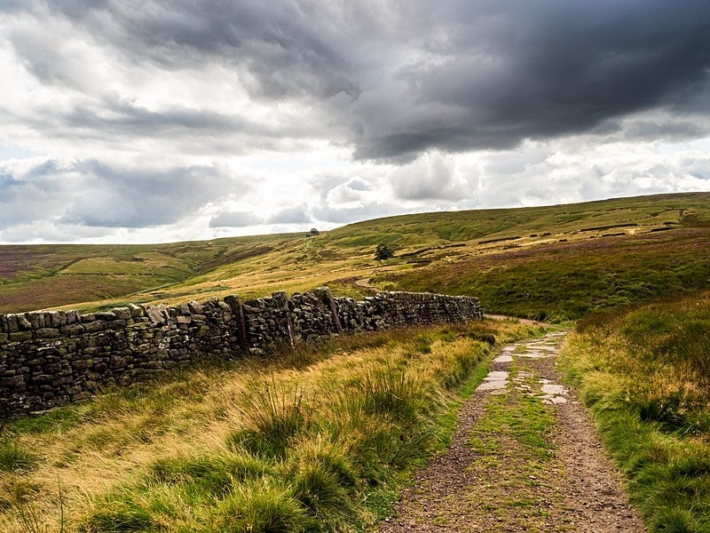Haworth Moor - High Moorland