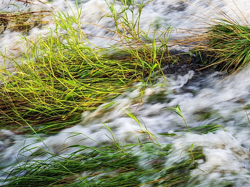 The Weir - Woodland