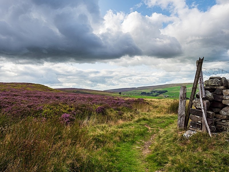 Haworth Moor - High Moorland