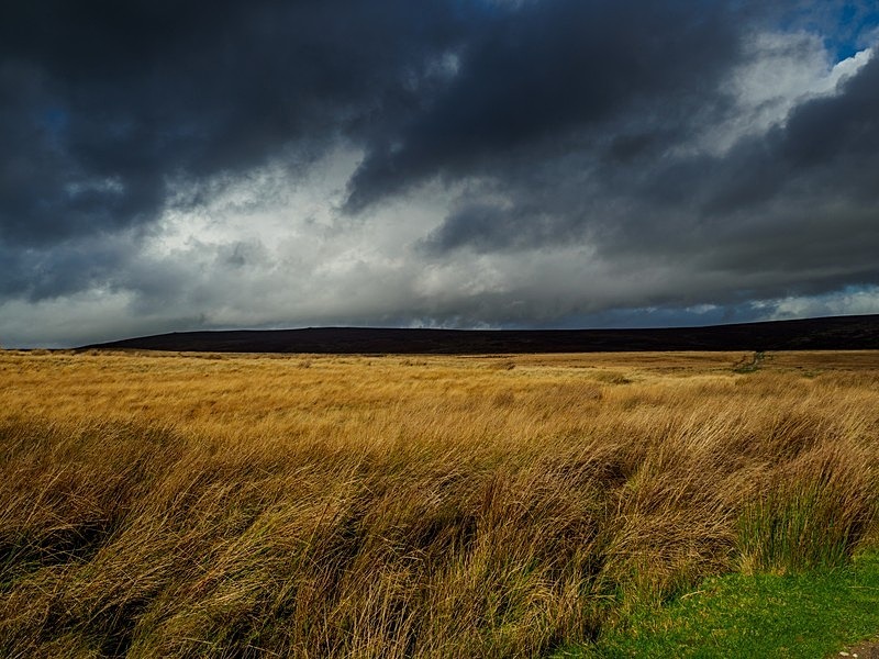 Round Hill - High Moorland