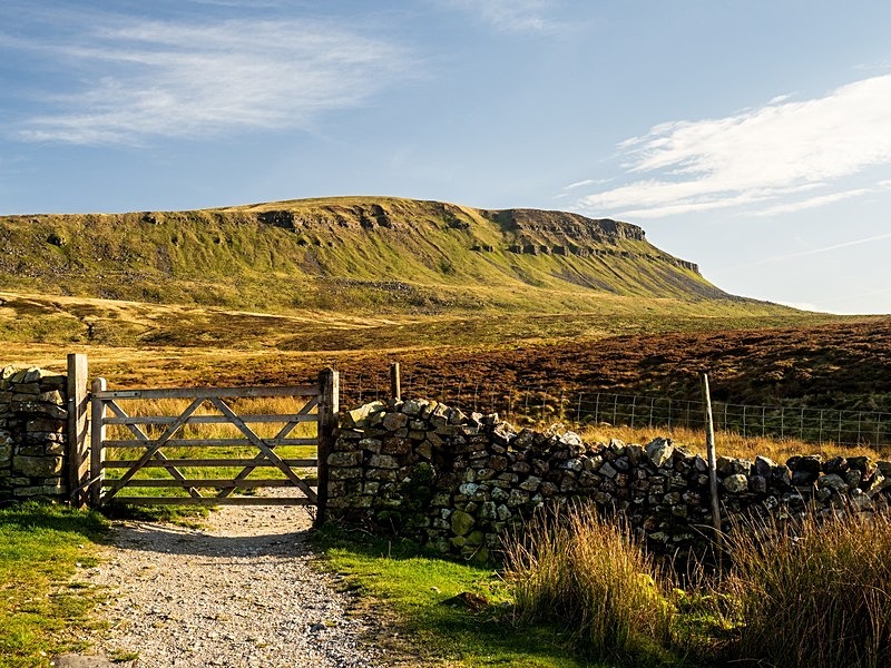 Pen-y-Ghent Mountain - Yorkshire Dales