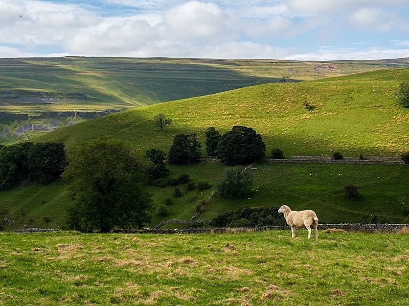 Great Whernside - Yorkshire Dales