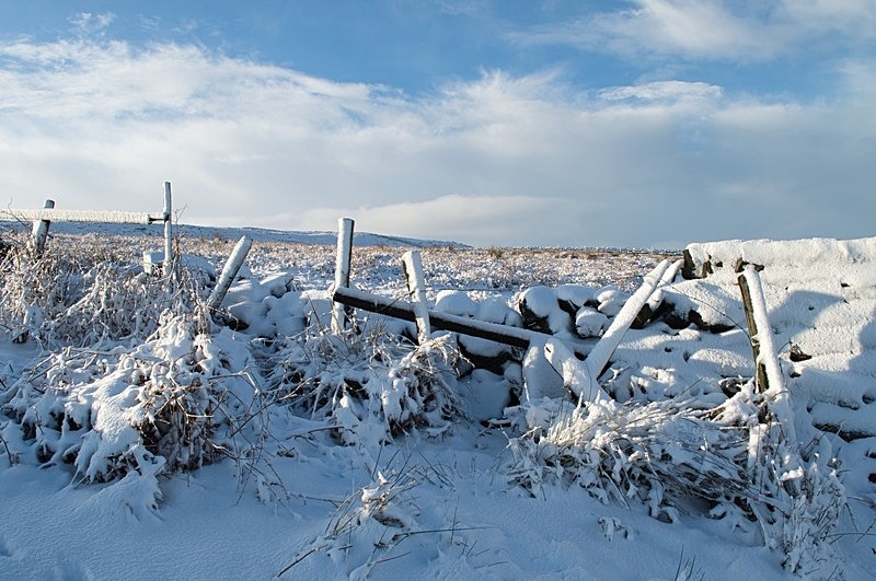 Ilkley Moor in Snow - High Moorland